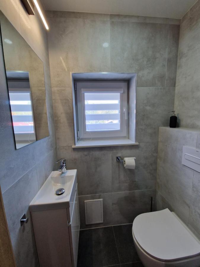Willa Rosa-Apartamenty Z Prywatna Sauna Шклярска-Поремба Экстерьер фото