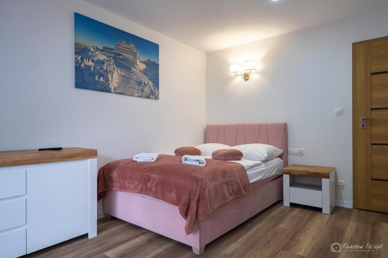 Willa Rosa-Apartamenty Z Prywatna Sauna Шклярска-Поремба Экстерьер фото