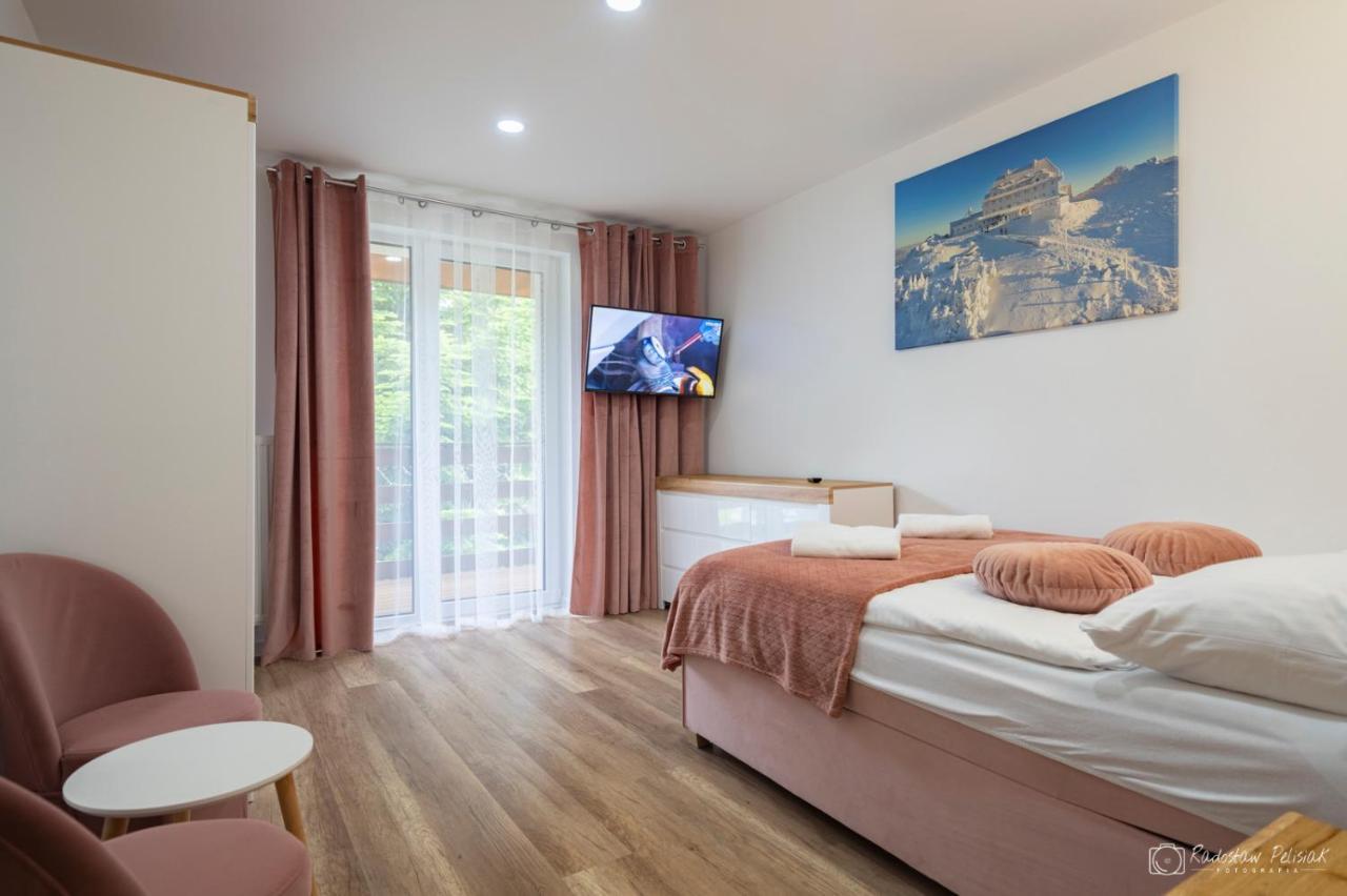 Willa Rosa-Apartamenty Z Prywatna Sauna Шклярска-Поремба Экстерьер фото